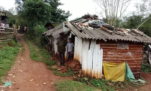 Karnataka : वन्यजीवों से टकराव के कारण कुद्रेमुख के परिवारों के पुनर्वास में देरी की मुश्किलें और बढ़ गई