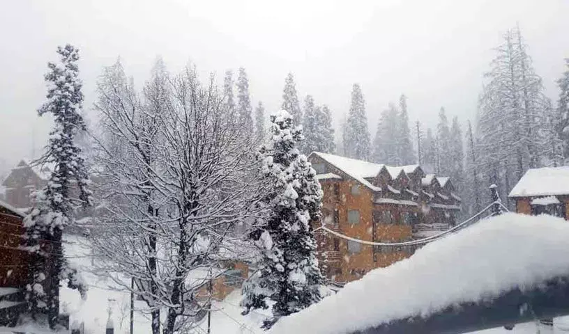 Srinagar : कश्मीर के ऊंचे इलाकों में ताज़ा बर्फबारी