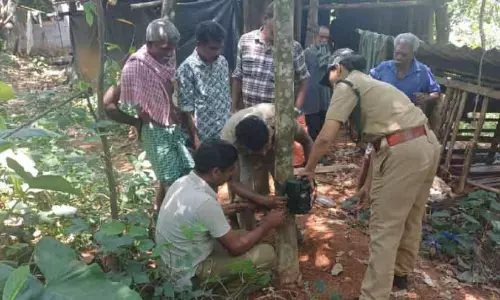 Kerala ; गांव में बाघ को लेकर अलर्ट Kerala ; गांव में बाघ को लेकर अलर्ट