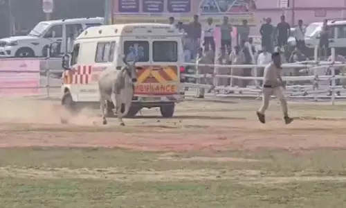 Helipad पर भटकती हुई गाय आ गई, नीतीश कुमार का बेगूसराय दौरा खतरे में पड़ा Helipad पर भटकती हुई गाय आ गई, नीतीश कुमार का बेगूसराय दौरा खतरे में पड़ा