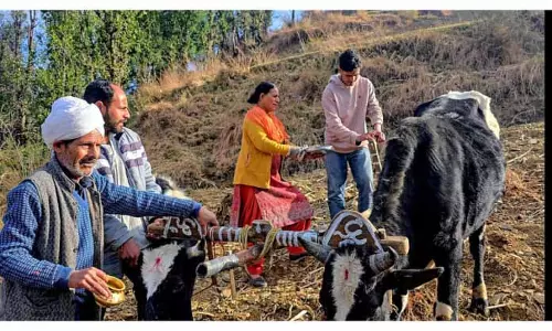 Bhaderwah Valley भर में लोग धर्मदेश उत्सव मनाते हैं