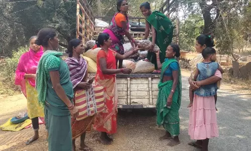 वनांचल की किस्मत बदलने वाली फसल साबित हुई इमली वनांचल की किस्मत बदलने वाली फसल साबित हुई इमली