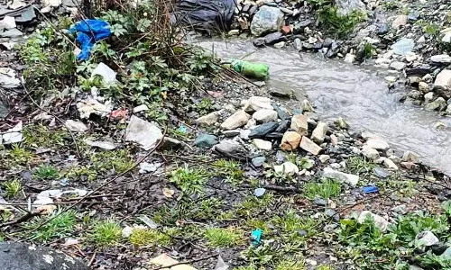 घर-घर जाकर कचरा इकट्ठा करने का काम अनियमित, Kullu के गांव कचरे की बढ़ती समस्या से जूझ रहे घर-घर जाकर कचरा इकट्ठा करने का काम अनियमित, Kullu के गांव कचरे की बढ़ती समस्या से जूझ रहे