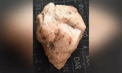 Manchirevula के निकट एक पहाड़ी पर ऊपरी पुरापाषाण काल ​​का क्वार्ट्ज़ औजार खोजा गया