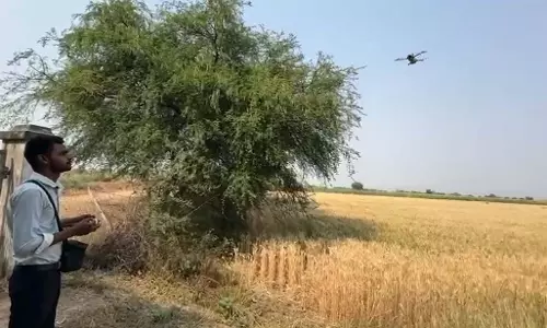 अफीम की अवैध खेती पर सख्ती, दुर्ग-बेमेतरा में ड्रोन से निगरानी अफीम की अवैध खेती पर सख्ती, दुर्ग-बेमेतरा में ड्रोन से निगरानी