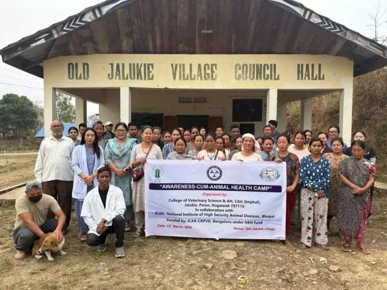 Nagaland : ओल्ड जालुकी में जागरूकता-सह-पशु स्वास्थ्य शिविर Nagaland : ओल्ड जालुकी में जागरूकता-सह-पशु स्वास्थ्य शिविर