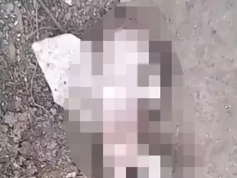 नाली में नवजात का शव मिला, कचरा बीनने वाली की पड़ी नजर तो हुआ खुलासा नाली में नवजात का शव मिला, कचरा बीनने वाली की पड़ी नजर तो हुआ खुलासा