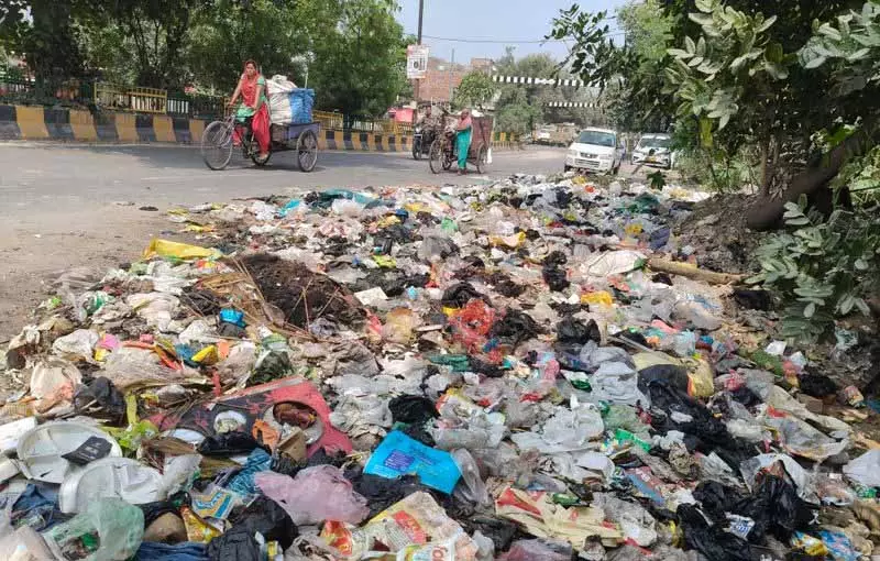 नगर निगम Jalandhar में 143 करोड़ रुपये की कचरा प्रबंधन योजना के तहत मोबाइल कॉम्पैक्टर लगाएगा नगर निगम Jalandhar में 143 करोड़ रुपये की कचरा प्रबंधन योजना के तहत मोबाइल कॉम्पैक्टर लगाएगा