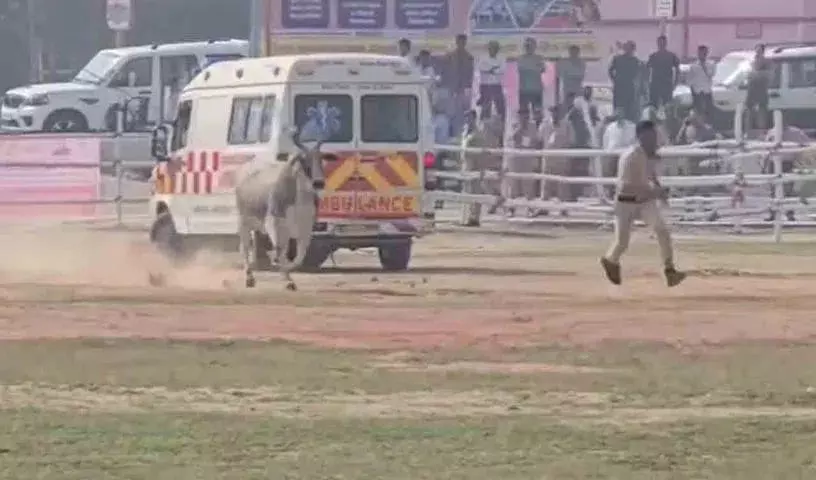 Helipad पर भटकती हुई गाय आ गई, नीतीश कुमार का बेगूसराय दौरा खतरे में पड़ा Helipad पर भटकती हुई गाय आ गई, नीतीश कुमार का बेगूसराय दौरा खतरे में पड़ा