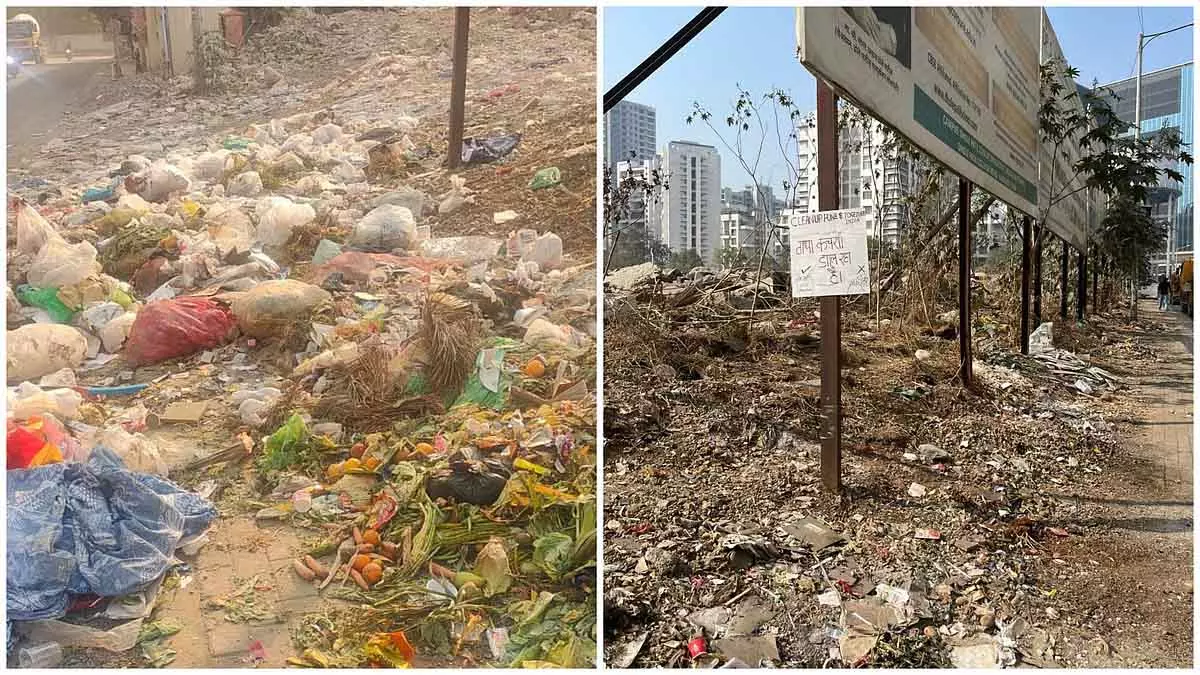 Pune: खराड़ी में कूड़े के ढेर से मचा हड़कंप Pune: खराड़ी में कूड़े के ढेर से मचा हड़कंप