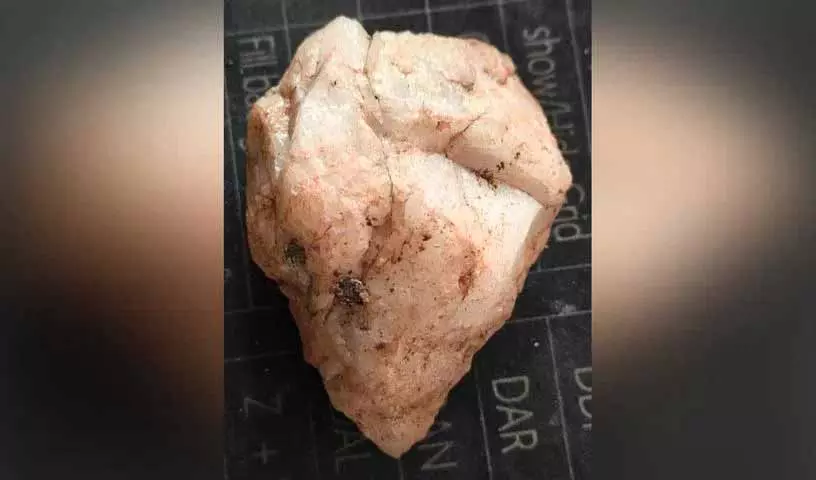 Manchirevula के निकट एक पहाड़ी पर ऊपरी पुरापाषाण काल का क्वार्ट्ज़ औजार खोजा गया Manchirevula के निकट एक पहाड़ी पर ऊपरी पुरापाषाण काल का क्वार्ट्ज़ औजार खोजा गया