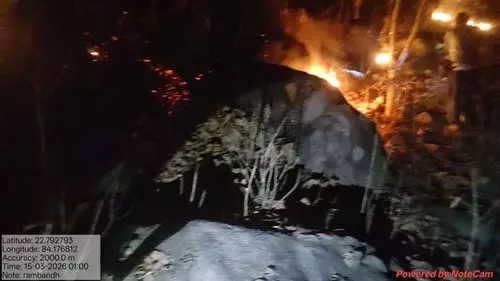 वनमंडल में दो स्थानों पर लगी आग पर रातों-रात पाया गया नियंत्रण वनमंडल में दो स्थानों पर लगी आग पर रातों-रात पाया गया नियंत्रण