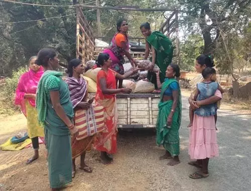 वनांचल की किस्मत बदलने वाली फसल साबित हुई इमली वनांचल की किस्मत बदलने वाली फसल साबित हुई इमली