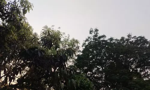 छत्तीसगढ़ में आज बारिश होने के आसार