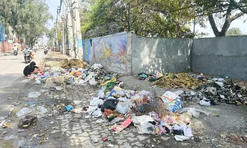 Rohtak में स्वच्छता अभियान, कचरा उठाने में देरी से लोग परेशान