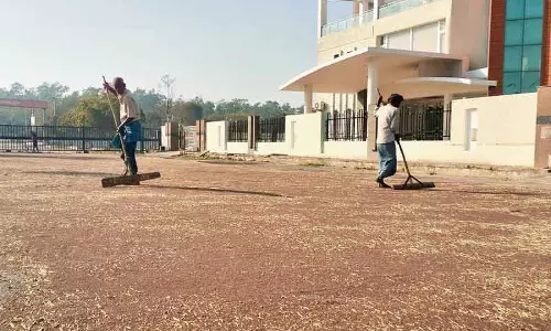 Ambala सरसों उत्पादक सरकार की खरीद का इंतज़ार कर रहे