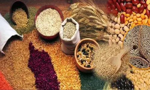Khandwa: खंडवा में मिलेट्स मेला और किसान सम्मेलन
