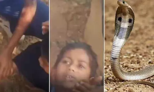 Karnataka : स्कूल परिसर में खाना खाते समय एक छात्र को साँप ने काट लिया Karnataka : स्कूल परिसर में खाना खाते समय एक छात्र को साँप ने काट लिया