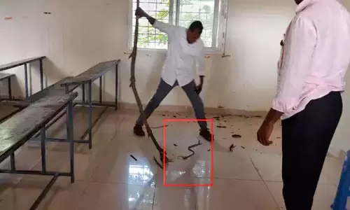 10वीं की Exams में सांप का आतंक, छात्र भाग खड़े हुए 10वीं की Exams में सांप का आतंक, छात्र भाग खड़े हुए