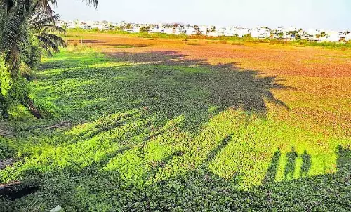 Shimoga : बोम्मनकट्टे झील खतरे की कगार पर Shimoga : बोम्मनकट्टे झील खतरे की कगार पर