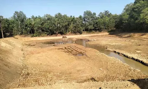 Dharmasthala Project : कुरुदाई झील को फिर से जीवंत बनाना