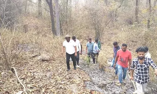 Kusgal आरक्षित वन में जंगल की आग: 60 किसानों ने सहायता प्रदान की