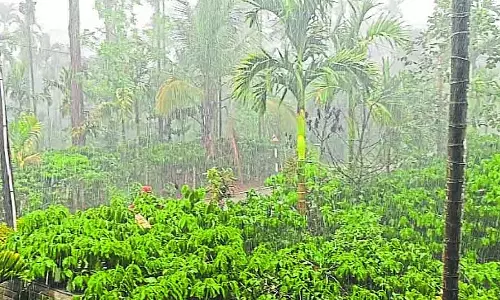 Karnataka : कलासा में गर्मियों की पहली बारिश Karnataka : कलासा में गर्मियों की पहली बारिश