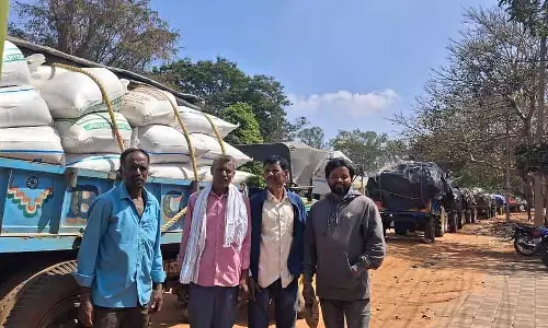 बाजरा खरीद केंद्र पर Farmer की जेब पर डाका: गुणवत्ता की पुष्टि के लिए रिश्वत
