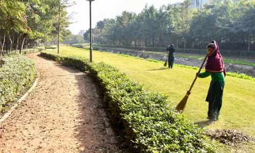 प्लास्टिक वेस्ट मैनेजमेंट में अहमदाबाद बना मॉडल, हाईकोर्ट ने की तारीफ प्लास्टिक वेस्ट मैनेजमेंट में अहमदाबाद बना मॉडल, हाईकोर्ट ने की तारीफ