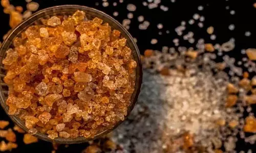 गर्मियों में Gond Katira का सेवन करें और पाएं ये अद्भुत स्वास्थ्य लाभ