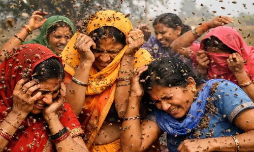 धमधा में मधुमक्खी हमला: एक महिला की मौत, सात ग्रामीण अस्पताल में भर्ती धमधा में मधुमक्खी हमला: एक महिला की मौत, सात ग्रामीण अस्पताल में भर्ती