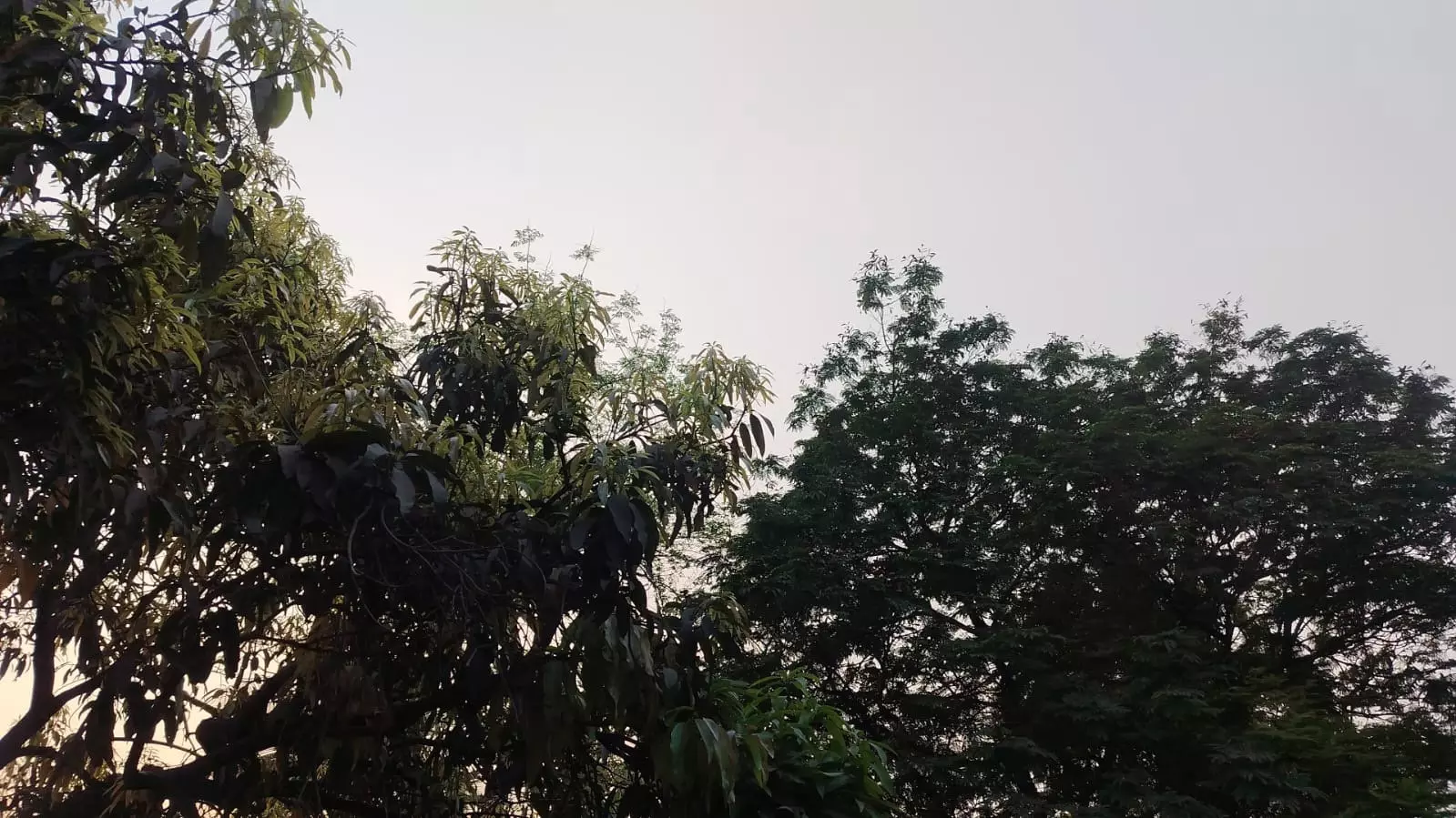 छत्तीसगढ़ में आज बारिश होने के आसार छत्तीसगढ़ में आज बारिश होने के आसार