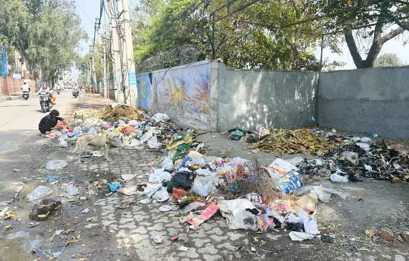 Rohtak में स्वच्छता अभियान, कचरा उठाने में देरी से लोग परेशान Rohtak में स्वच्छता अभियान, कचरा उठाने में देरी से लोग परेशान