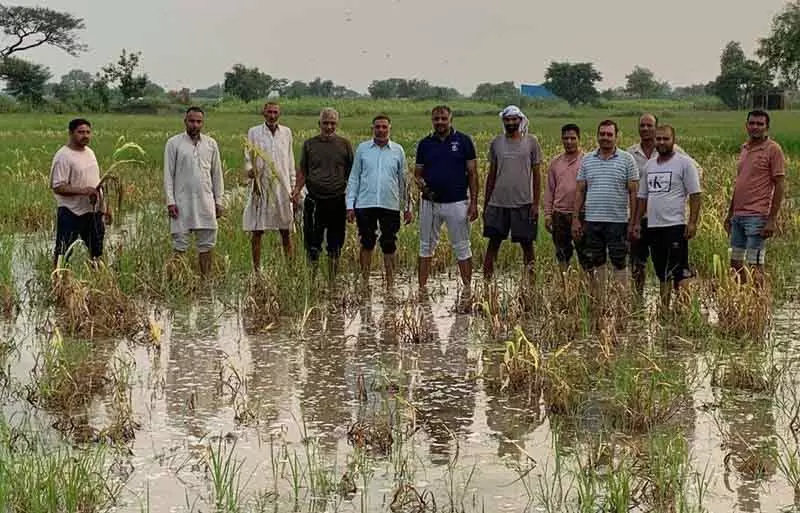 Rohtak मेहम के लिए 6.46 करोड़ रुपये की फसल राहत, किसान सभा ने धांधली का आरोप लगाया Rohtak मेहम के लिए 6.46 करोड़ रुपये की फसल राहत, किसान सभा ने धांधली का आरोप लगाया