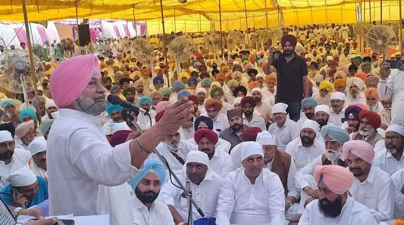 तलवंडी साबो से 4 बार के MLA, कांग्रेस के जीतमोहिंदर सिद्धू ने मौड़ में अपना राजनीतिक आधार बनाया तलवंडी साबो से 4 बार के MLA, कांग्रेस के जीतमोहिंदर सिद्धू ने मौड़ में अपना राजनीतिक आधार बनाया