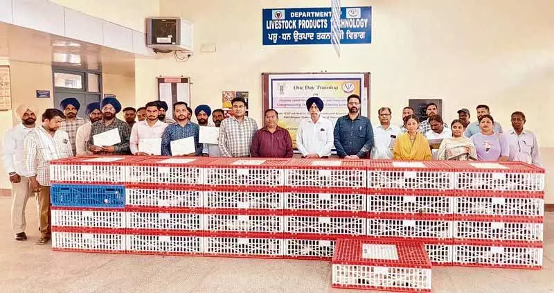 Ludhiana: 25 लोगों ने पशु चिकित्सा विश्वविद्यालय प्रशिक्षण में भाग लिया Ludhiana: 25 लोगों ने पशु चिकित्सा विश्वविद्यालय प्रशिक्षण में भाग लिया