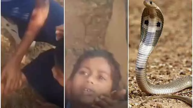 Karnataka : स्कूल परिसर में खाना खाते समय एक छात्र को साँप ने काट लिया Karnataka : स्कूल परिसर में खाना खाते समय एक छात्र को साँप ने काट लिया
