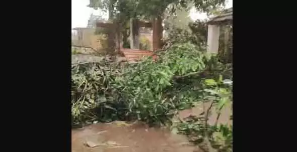 Mayurbhanj में नॉर-वेस्टर से दो की मौत, पांच घायल, 200 घर क्षतिग्रस्त Mayurbhanj में नॉर-वेस्टर से दो की मौत, पांच घायल, 200 घर क्षतिग्रस्त