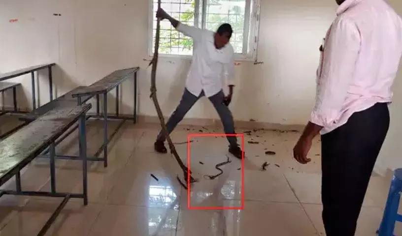 10वीं की Exams में सांप का आतंक, छात्र भाग खड़े हुए 10वीं की Exams में सांप का आतंक, छात्र भाग खड़े हुए