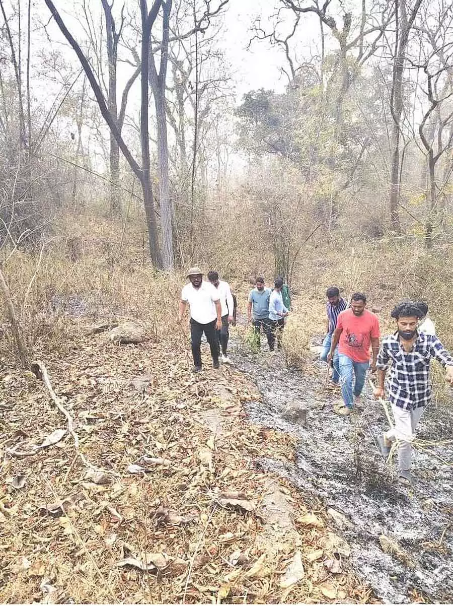Kusgal आरक्षित वन में जंगल की आग: 60 किसानों ने सहायता प्रदान की Kusgal आरक्षित वन में जंगल की आग: 60 किसानों ने सहायता प्रदान की