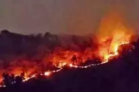 आग से दहक रहे जंगल, हाथियों के अधिवास वाले इलाकों तक पहुंचीं लपटें आग से दहक रहे जंगल, हाथियों के अधिवास वाले इलाकों तक पहुंचीं लपटें