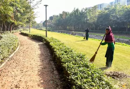 प्लास्टिक वेस्ट मैनेजमेंट में अहमदाबाद बना मॉडल, हाईकोर्ट ने की तारीफ प्लास्टिक वेस्ट मैनेजमेंट में अहमदाबाद बना मॉडल, हाईकोर्ट ने की तारीफ