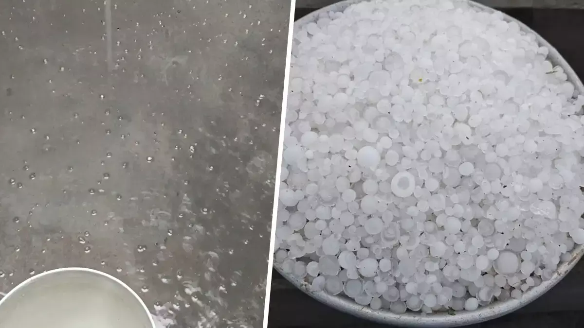 Shimla में ओलावृष्टि से बढ़ी ठंड, अगले 2 दिनों के लिए ऑरेंज अलर्ट जारी Shimla में ओलावृष्टि से बढ़ी ठंड, अगले 2 दिनों के लिए ऑरेंज अलर्ट जारी