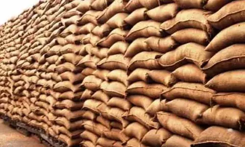 Jalandhar: खेत से 16,000 गेहूं के बोरे गायब मिलने के बाद खाद्य विभाग के 2 कर्मचारी निलंबित Jalandhar: खेत से 16,000 गेहूं के बोरे गायब मिलने के बाद खाद्य विभाग के 2 कर्मचारी निलंबित