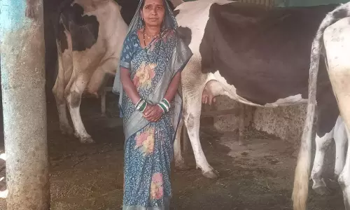 स्व-सहायता समूह से बदली जिंदगी, डेयरी और खेती से लखपति दीदी बनीं माधुरी जंघेल स्व-सहायता समूह से बदली जिंदगी, डेयरी और खेती से लखपति दीदी बनीं माधुरी जंघेल