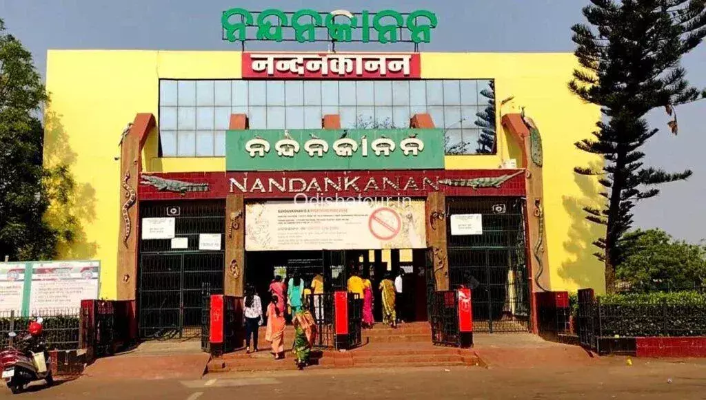 Nandankanan Zoo ने सक्रिय कदम उठाए: लू के प्रकोप के बीच जानवरों के पास कूलर और पंखे लगाए जाएंगे Nandankanan Zoo ने सक्रिय कदम उठाए: लू के प्रकोप के बीच जानवरों के पास कूलर और पंखे लगाए जाएंगे