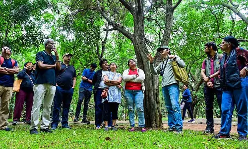 Bengaluru : पर्यटकों को आकर्षित करने वाले लालबाग वॉक्स के लिए विशेषज्ञों की कमी Bengaluru : पर्यटकों को आकर्षित करने वाले लालबाग वॉक्स के लिए विशेषज्ञों की कमी