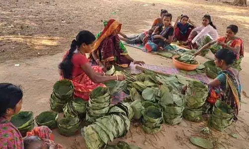 Korukonda प्लास्टिक के बढ़ते चलन से सियाली प्लेटें बाज़ार से बाहर, आदिवासी समुदाय पर असर Korukonda प्लास्टिक के बढ़ते चलन से सियाली प्लेटें बाज़ार से बाहर, आदिवासी समुदाय पर असर