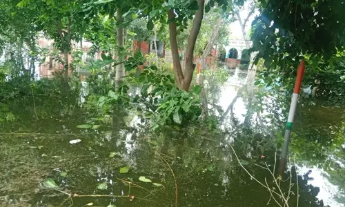 Bhiwani: जलभराव से किसानों को भारी नुकसान, ढाणी का रास्ता 8 महीने से बंद