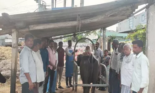 पशुओं का टीकाकरण समय पर होना चाहिए: Sarpanch Nilabai पशुओं का टीकाकरण समय पर होना चाहिए: Sarpanch Nilabai